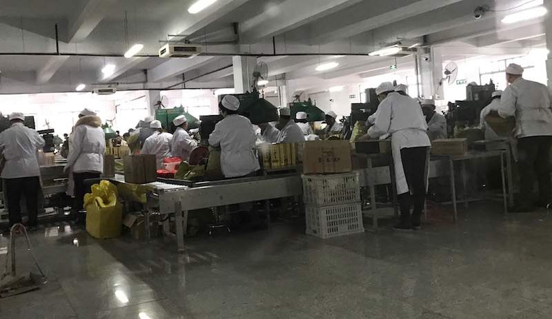 酒香不怕巷子深，偉迪捷噴碼機常年助力口子釀好酒