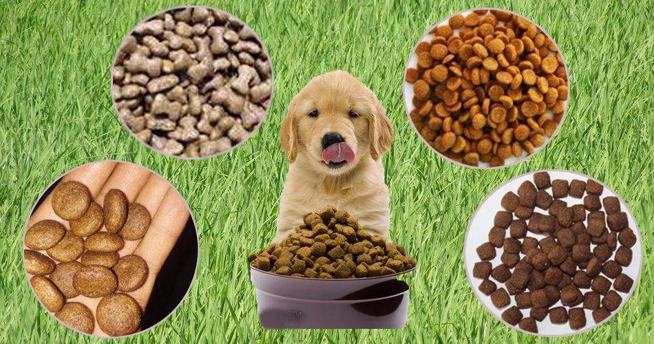 依瑪 | 噴碼機在寵物飼料行業的應用