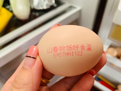 瀏覽全球網絡，您還能找到比這個更全面的雞蛋噴碼機解決方案嗎？