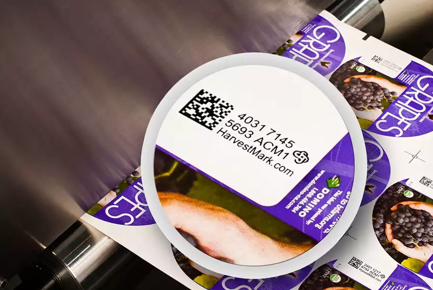 開啟供應(yīng)鏈數(shù)字化之旅 ，感受全新的生產(chǎn)模式！