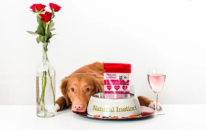 千億“它”經濟進入快車道，看賦碼如何應對挑戰？